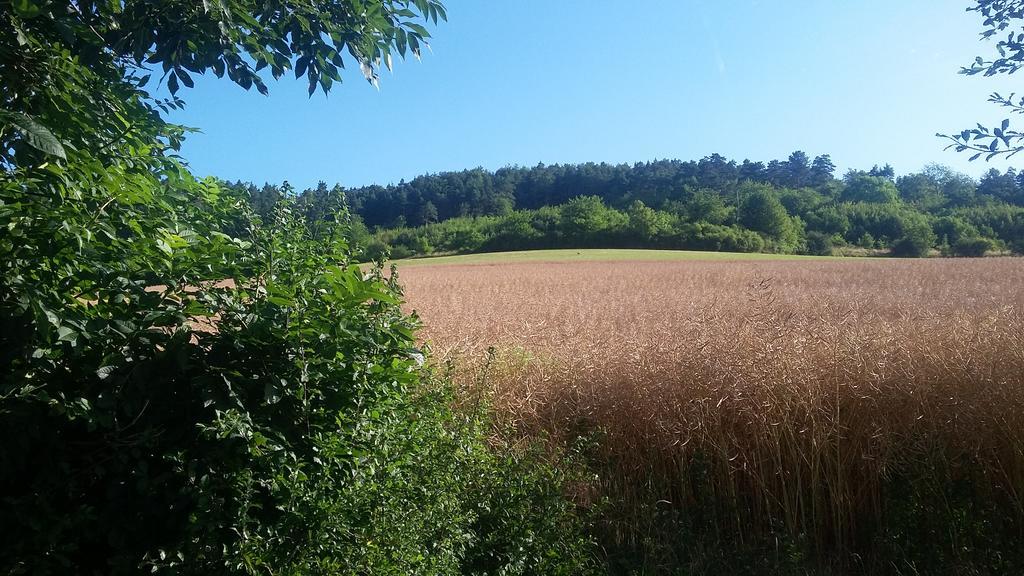 Landgasthof Zur Untermuehle 다테로데 외부 사진