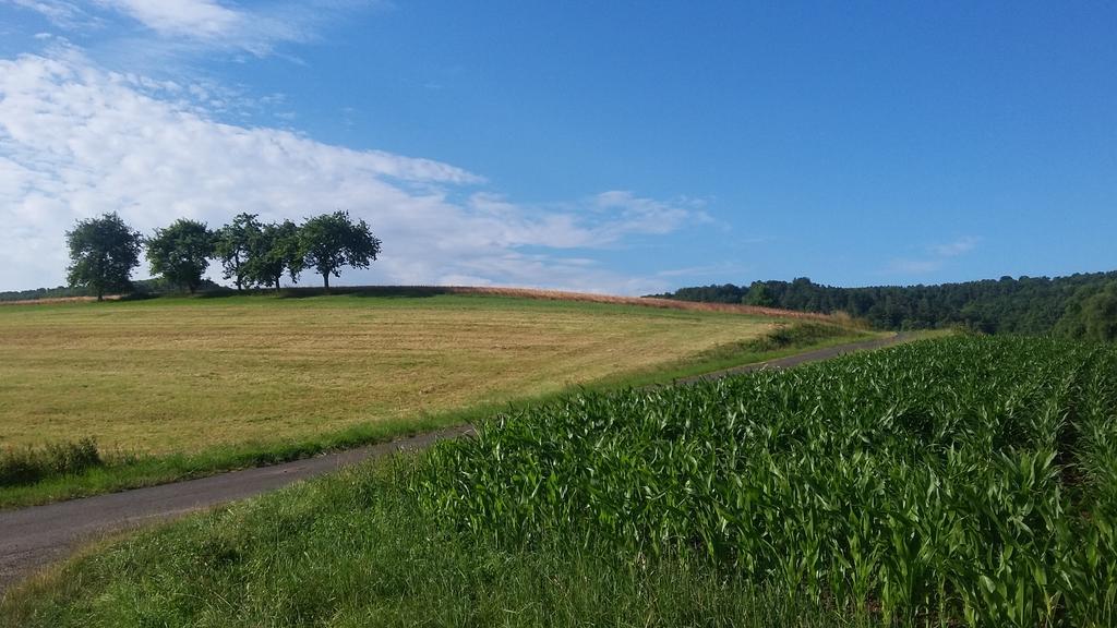 Landgasthof Zur Untermuehle 다테로데 외부 사진